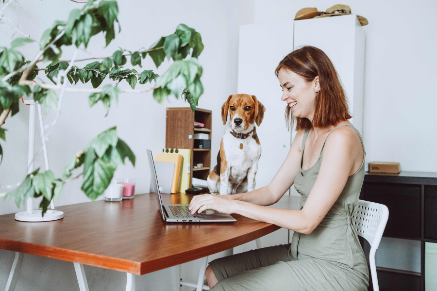 Work From Home Interiors