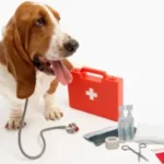 School Supplies - Health & Safety - First Aid