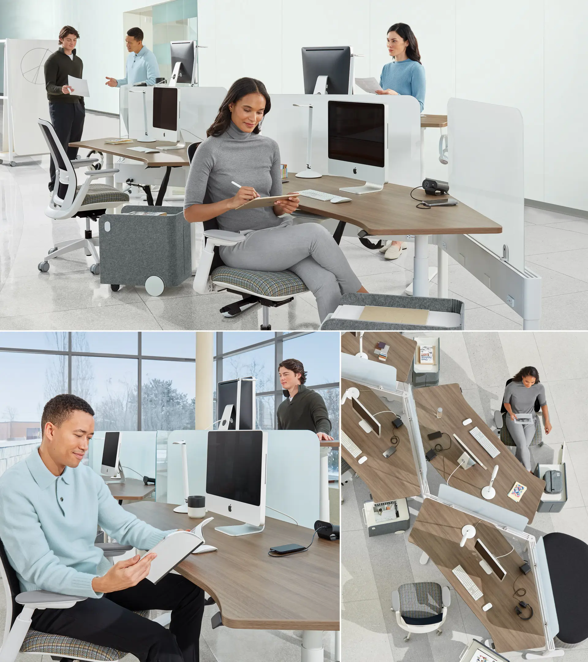 Light-filled open plan workspace