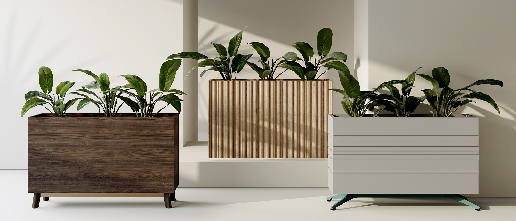 Bright office with natural elements