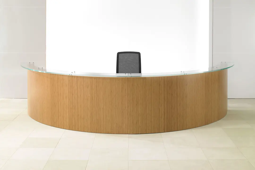 Professional reception desk and seating