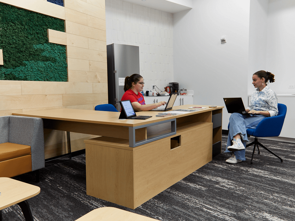 Professional office work area