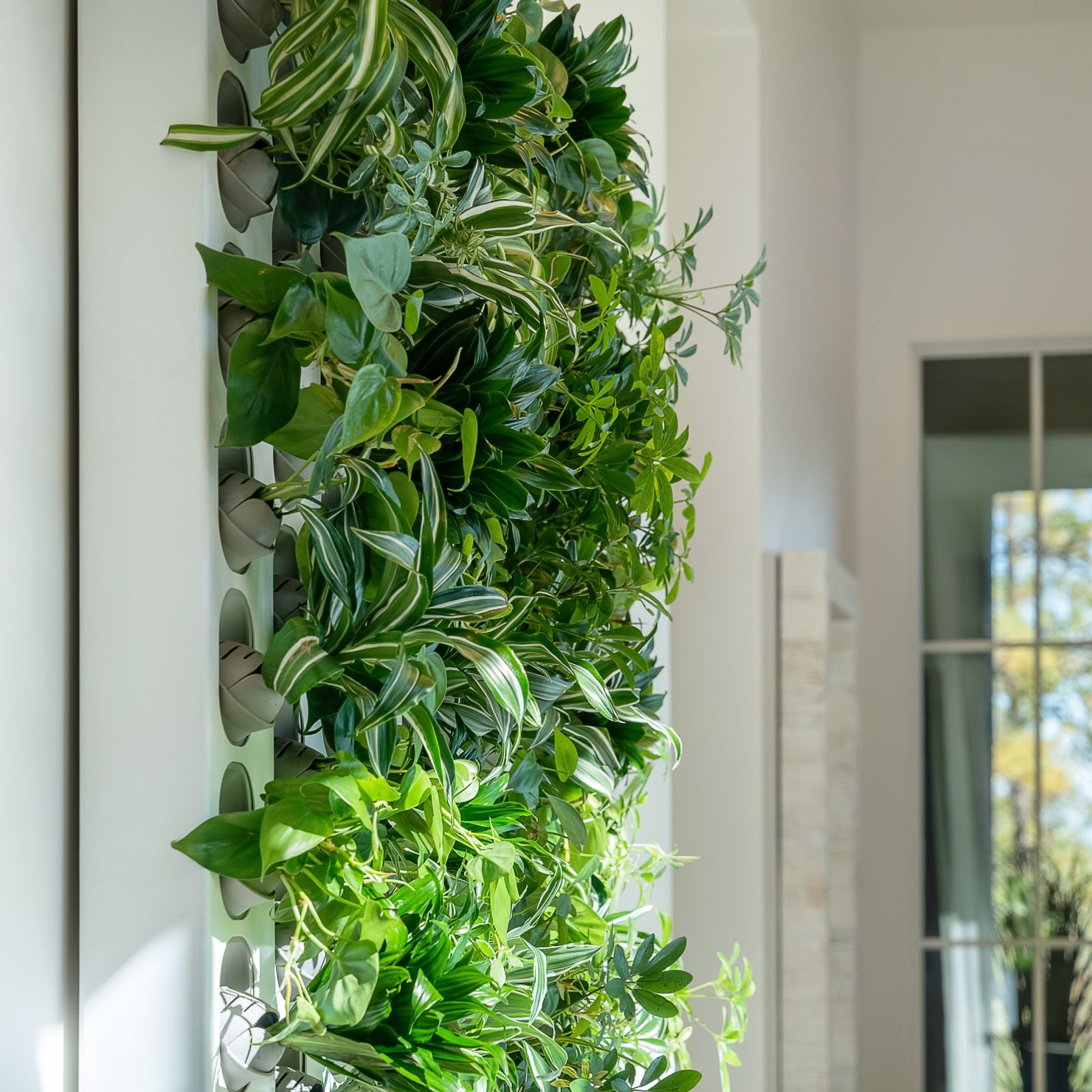Living wall installation
