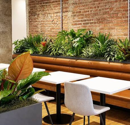 Living wall installation