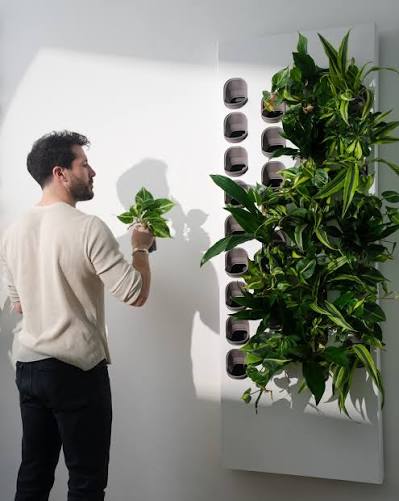 Living wall installation