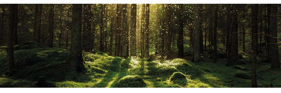 Well-being focused workplace artwork example 3