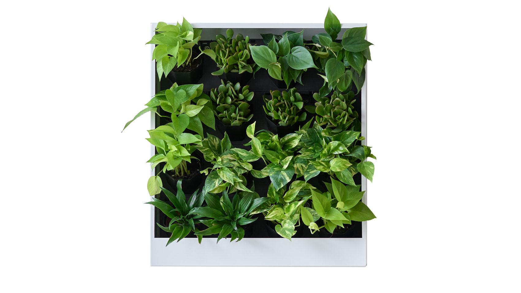 Office greenery integrated into a collaborative workspace